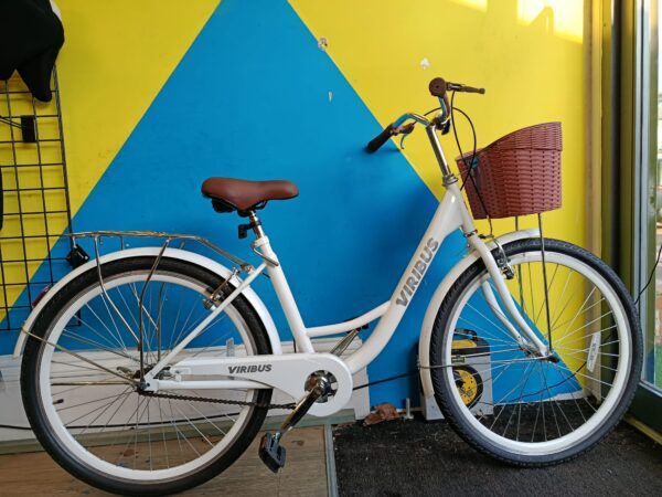 WhatsApp Image 2025-12-31 at 3.27.02 PM